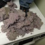 Lint from dryer vent